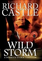 Wild Storm: A Derrick Storm Novel kaina ir informacija | Fantastinės, mistinės knygos | pigu.lt