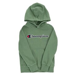 Džemperis champion rochester hooded sweatshirt 305949gs098 kaina ir informacija | Megztiniai, bluzonai, švarkai berniukams | pigu.lt