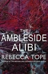 Ambleside Alibi цена и информация | Fantastinės, mistinės knygos | pigu.lt