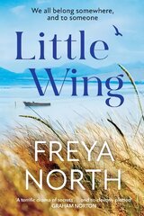 Little Wing: An emotional and heartwarming story, perfect for autumn 2022 kaina ir informacija | Fantastinės, mistinės knygos | pigu.lt