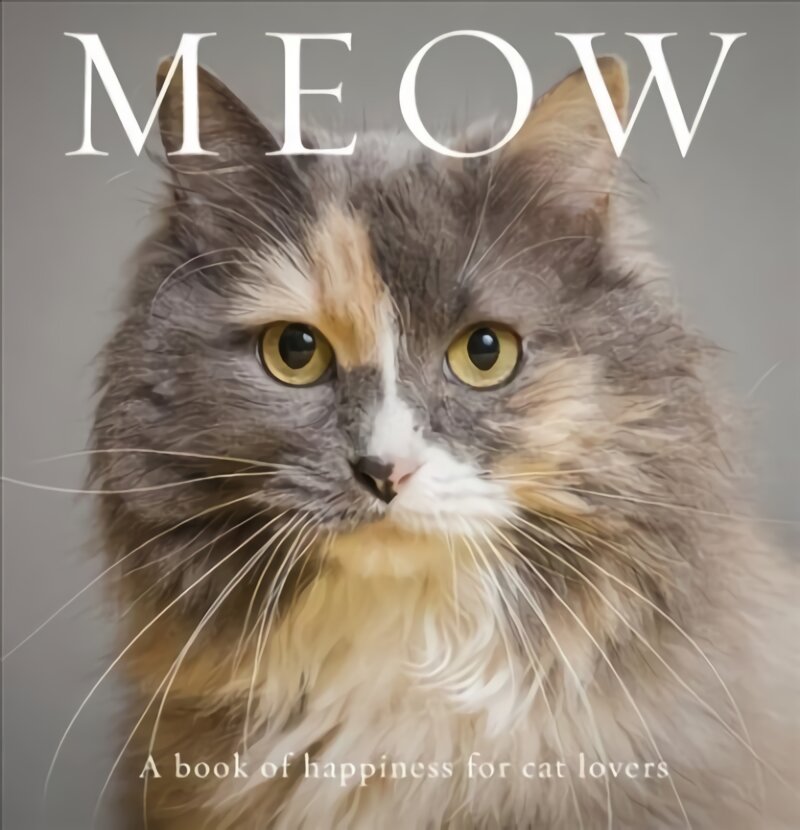 Meow: A Book of Happiness for Cat Lovers цена и информация | Enciklopedijos ir žinynai | pigu.lt
