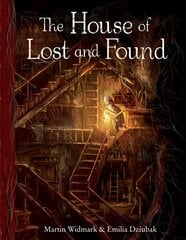 House of Lost and Found цена и информация | Книги для малышей | pigu.lt