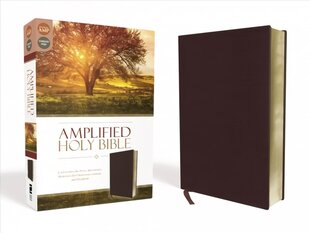 Amplified Holy Bible, Bonded Leather, Burgundy: Captures the Full Meaning Behind the Original Greek and Hebrew цена и информация | Духовная литература | pigu.lt