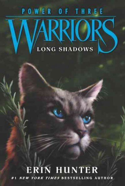 Warriors: Power of Three #5: Long Shadows kaina ir informacija | Knygos paaugliams ir jaunimui | pigu.lt