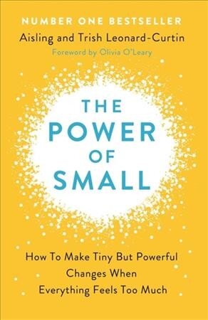 Power of Small: How to Make Tiny But Powerful Changes When Everything Feels Too Much kaina ir informacija | Saviugdos knygos | pigu.lt