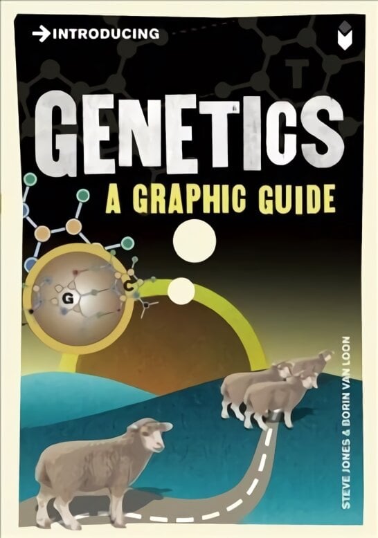 Introducing Genetics: A Graphic Guide kaina ir informacija | Ekonomikos knygos | pigu.lt