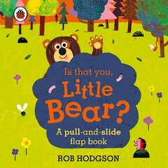 Is that you, Little Bear?: A pull-and-slide flap book kaina ir informacija | Knygos mažiesiems | pigu.lt