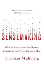 Sensemaking: What Makes Human Intelligence Essential in the Age of the Algorithm цена и информация | Самоучители | pigu.lt