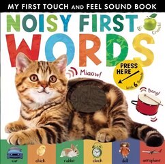 Noisy First Words: My First Touch and Feel Sound Book цена и информация | Книги для самых маленьких | pigu.lt