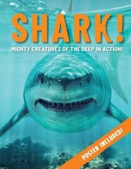 Shark!: Mighty Creatures of the Deep in Action 2nd ed. цена и информация | Книги для подростков  | pigu.lt