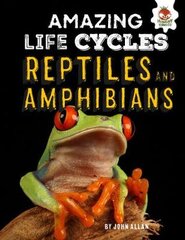 Reptiles and Amphibians - Amazing Life Cycles цена и информация | Книги для подростков  | pigu.lt
