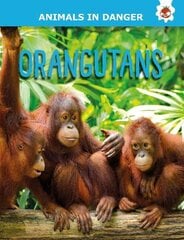 Orangutans: Animals In Danger kaina ir informacija | Knygos paaugliams ir jaunimui | pigu.lt