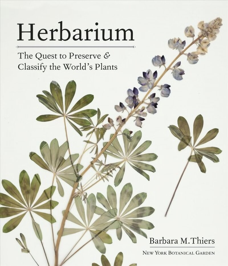 Herbarium: The Quest to Preserve and Classify the World's Plants: The Quest to Preserve and Classify the World's Plants kaina ir informacija | Knygos apie sodininkystę | pigu.lt