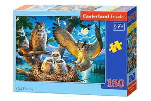 Dėlionė Castorland Owl Family, 180 dalių kaina ir informacija | Dėlionės (puzzle) | pigu.lt