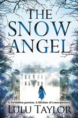 The Snow Angel Main Market Ed. kaina ir informacija | Fantastinės, mistinės knygos | pigu.lt