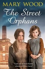 Street Orphans цена и информация | Fantastinės, mistinės knygos | pigu.lt