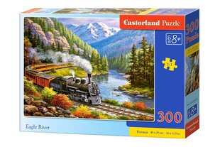 Dėlionė Castorland Eagle River, 300 dalių kaina ir informacija | Dėlionės (puzzle) | pigu.lt