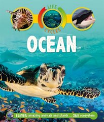 Life Cycles: Ocean цена и информация | Книги для подростков и молодежи | pigu.lt