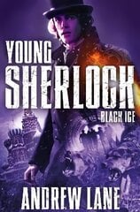 Black Ice New Edition цена и информация | Книги для подростков и молодежи | pigu.lt