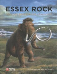 Essex Rock: Geology Beneath the Landscape цена и информация | Книги по социальным наукам | pigu.lt