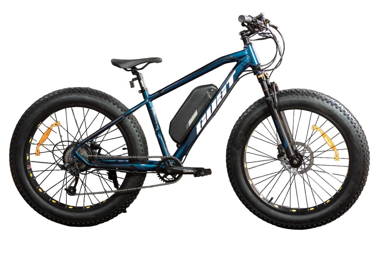 Elektrinis dviratis Gust Ultron 26", mėlynas цена и информация | Elektriniai dviračiai | pigu.lt