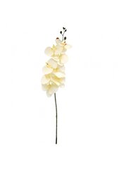 Dirbtinė gėlė orchidėja (gelsva), 90 cm kaina ir informacija | Dirbtinės gėlės | pigu.lt