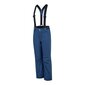 Slidinėjimo kelnės vaikams Dare2B DKW419, mėlynos цена и информация | Žiemos drabužiai vaikams | pigu.lt