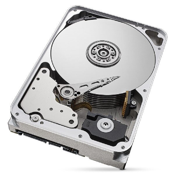 Seagate IronWolf Pro, 18TB (ST18000NT001) kaina ir informacija | Vidiniai kietieji diskai (HDD, SSD, Hybrid) | pigu.lt