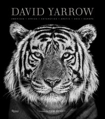 David Yarrow Photography: Americas Africa Antarctica Arctic Asia Europe kaina ir informacija | Fotografijos knygos | pigu.lt