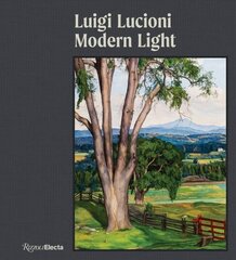 Luigi Lucioni: Modern Light kaina ir informacija | Knygos apie meną | pigu.lt