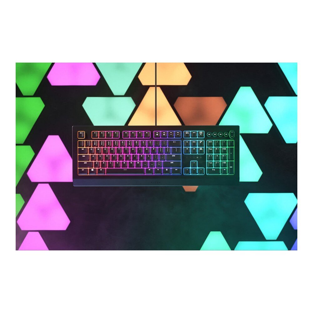 Razer Cynosa V2, AZERTY kaina ir informacija | Klaviatūros | pigu.lt