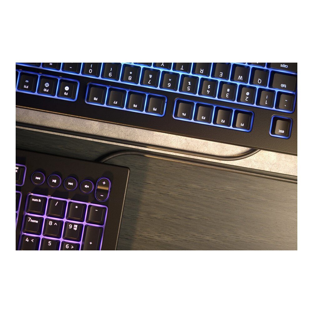 Razer Cynosa V2, AZERTY kaina ir informacija | Klaviatūros | pigu.lt