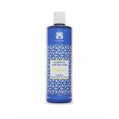 Šampūnas nuo plaukų riebalavimosi Zero Valquer, 400 ml kaina ir informacija | Šampūnai | pigu.lt