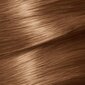 Plaukų dažai Garnier Nutrisse Creme 6,41-Sweet Amber kaina ir informacija | Plaukų dažai | pigu.lt