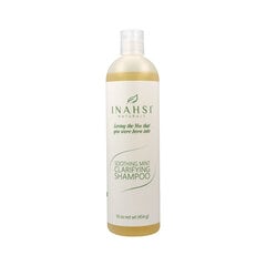 Šampūnas Inahsi Soothing Mint Clarifying, 454 g kaina ir informacija | Šampūnai | pigu.lt