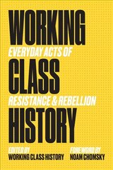 Working Class History: Everyday Acts of Resistance and Rebellion kaina ir informacija | Istorinės knygos | pigu.lt