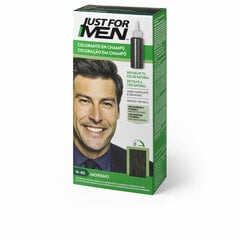 Красящий шампунь Just For Men Colorante цена и информация | Краска для волос | pigu.lt