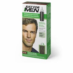 Красящий шампунь Just For Men Colorante цена и информация | Краска для волос | pigu.lt