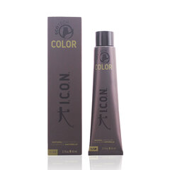 Перманентная краска I.c.o.n. 5.4 Light Copper Brown цена и информация | Краска для волос | pigu.lt