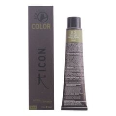 Ilgalaikiai dažai Ecotech Color Natural Color I.c.o.n. 9.3 very light golden blonde, 60 ml kaina ir informacija | ICON Plaukų priežiūrai | pigu.lt