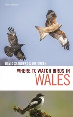Where to Watch Birds in Wales цена и информация | Книги по экономике | pigu.lt