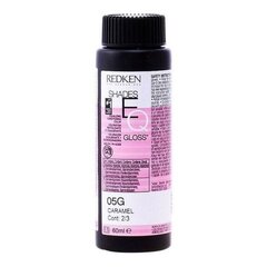 Pusiau laikini dažai Shades Eq Redken, 60 ml kaina ir informacija | Plaukų dažai | pigu.lt