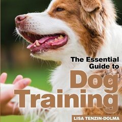 Dog Training: The Essential Guide kaina ir informacija | Saviugdos knygos | pigu.lt