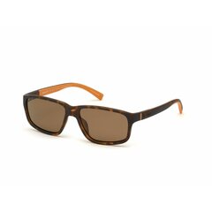 Мужские солнечные очки Timberland TB91865852D ø 58 mm цена и информация | Солнцезащитные очки для мужчин | pigu.lt