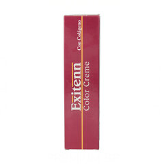 Постоянная краска Exitenn Color Creme Nº 10.00 (60 ml) цена и информация | Краска для волос | pigu.lt