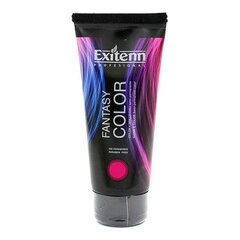 Ilgalaikiai plaukų dažai Exitenn Fantasy Color, 100 ml kaina ir informacija | Plaukų dažai | pigu.lt