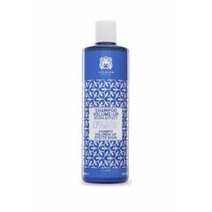 Apimties suteikiantis šampūnas Valquer Boom Effect Zero 400 ml kaina ir informacija | Šampūnai | pigu.lt