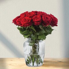 Raudonos rožės Rosa Naomi, 11 vnt. kaina ir informacija | Gyvos gėlės | pigu.lt