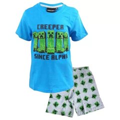 Комплект из шорт и футболки MINECRAFT цена и информация | Пижамы, халаты для мальчиков | pigu.lt