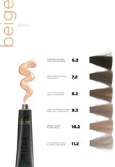Plaukų dažai be amoniako Ecotech Color I.c.o.n. 9.2, 60 ml цена и информация | Краска для волос | pigu.lt